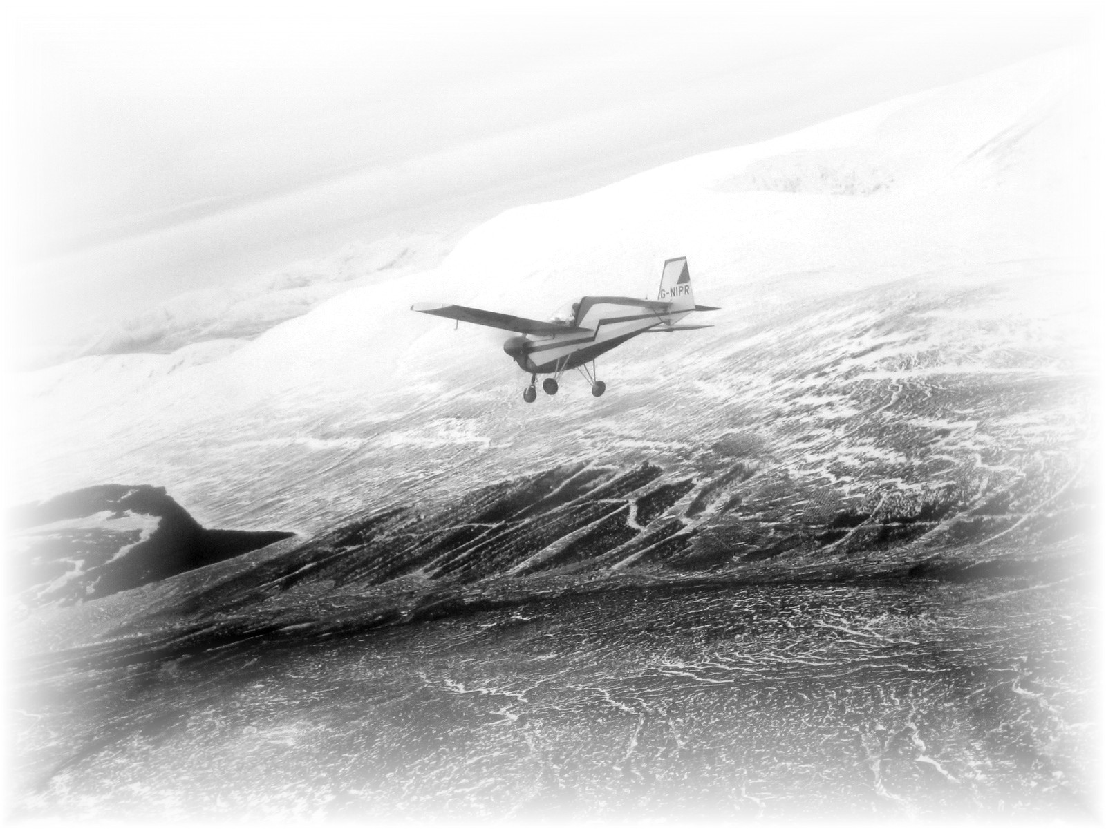 NIPPER AIR 025.jpg