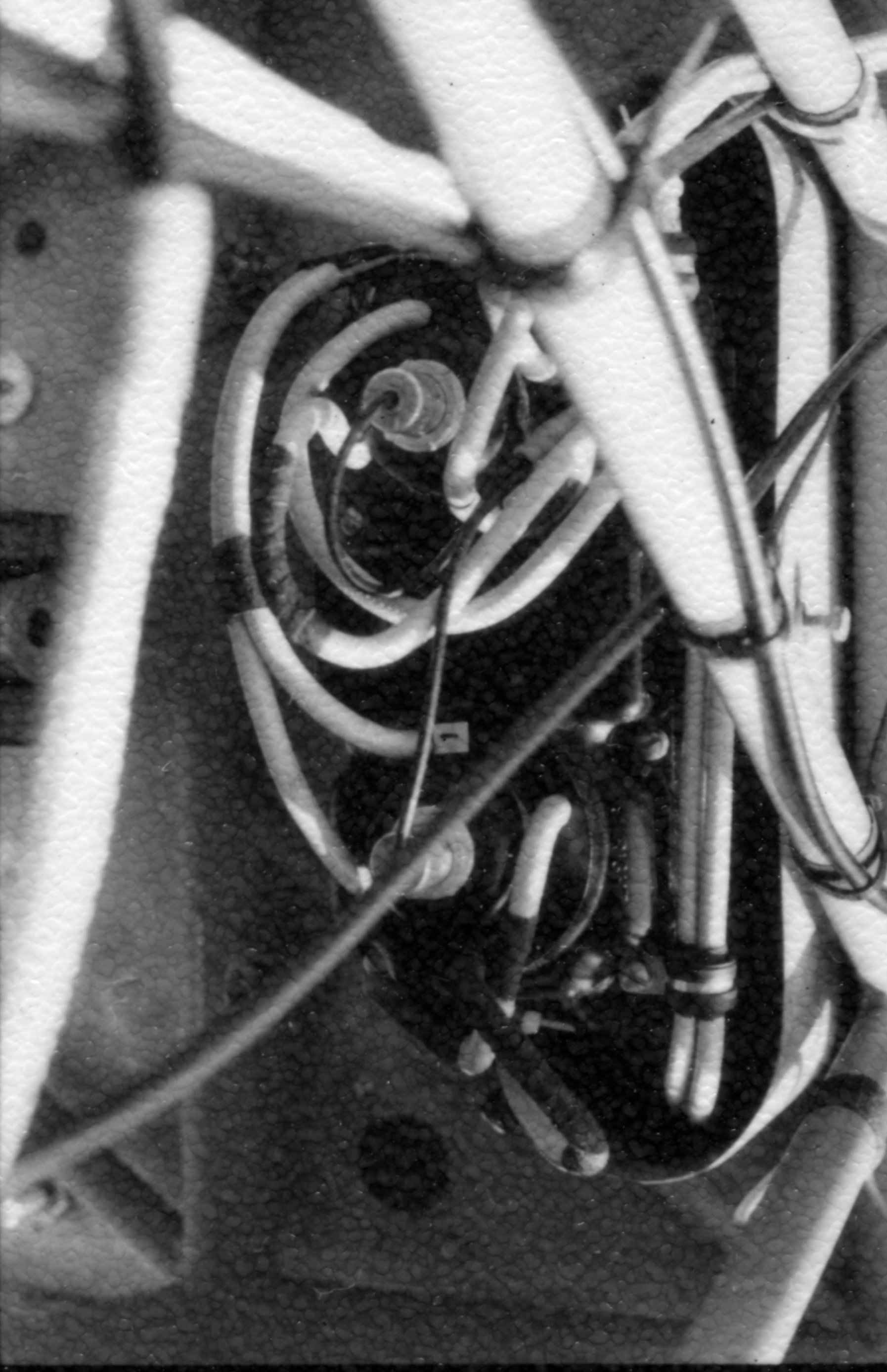 Nipper - mags1.jpg