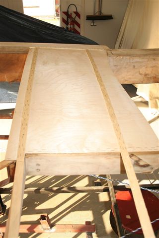 New wing root left.JPG