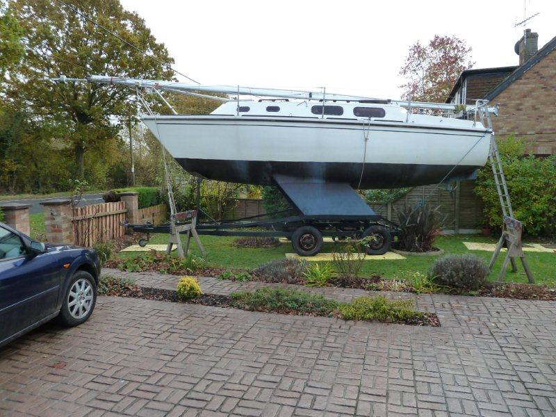 Griffon on garden.jpg