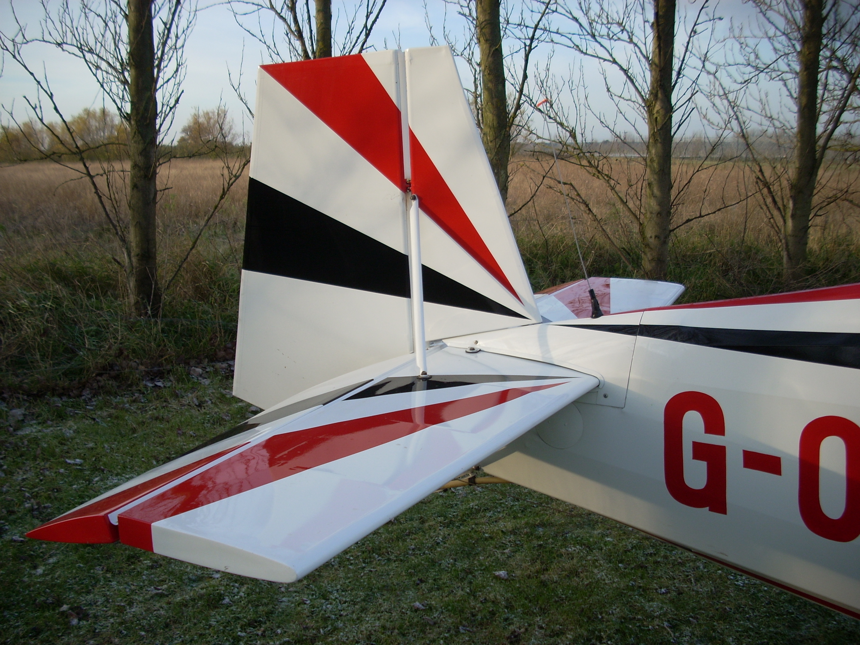 Tailgroup (2).JPG